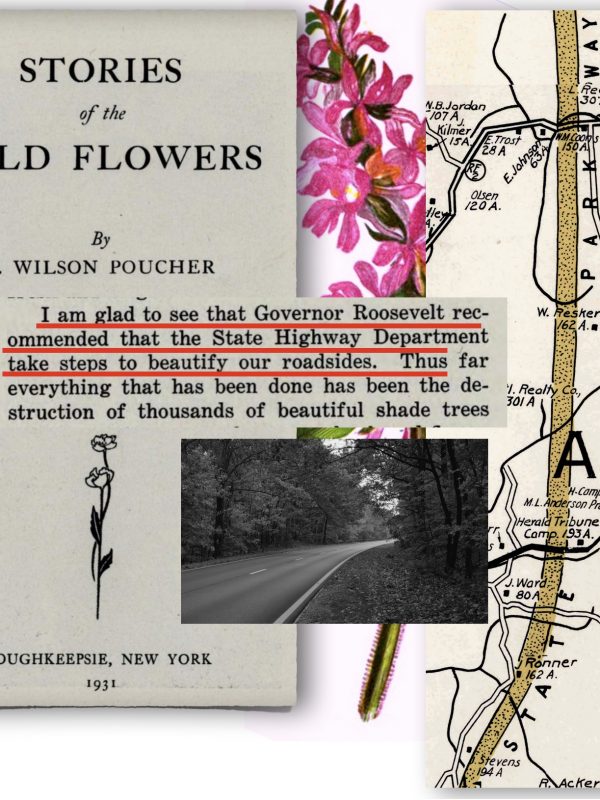 FDR pursued Roadside Beautification legislation while Poucher published his series of newspaper articles in a book.